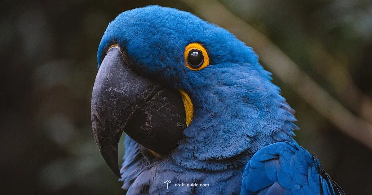 Zombie Noises Parrot - Craft Guide