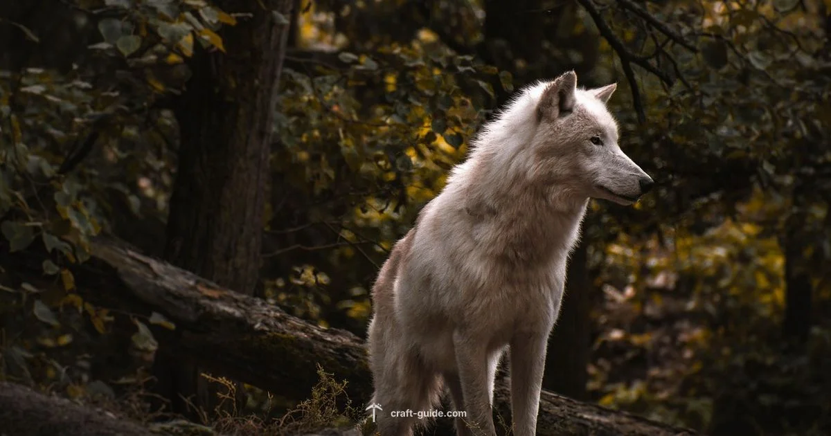 Wolf Death Sound - Craft Guide