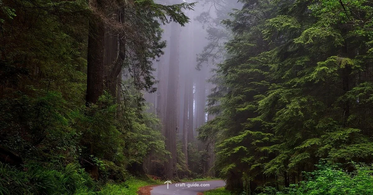 Sky-Base Tree House - Craft Guide