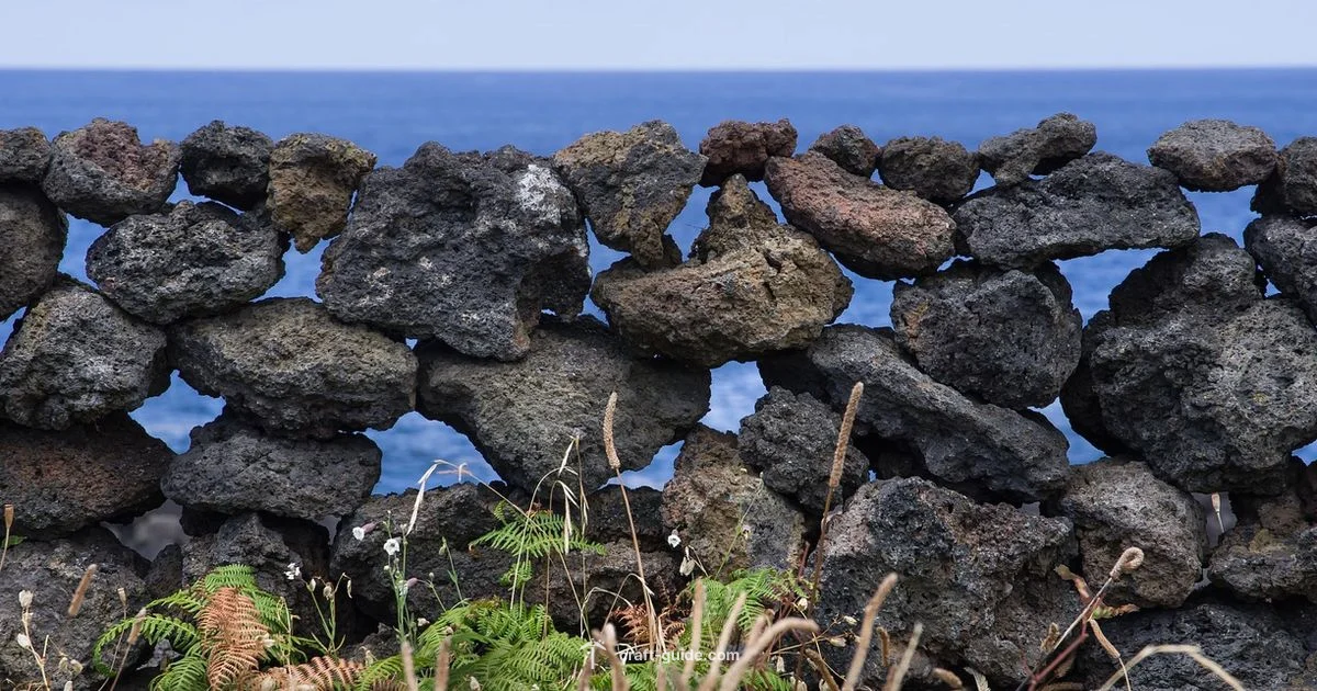 Block ID Guide Block ID Guide - Craft Guide