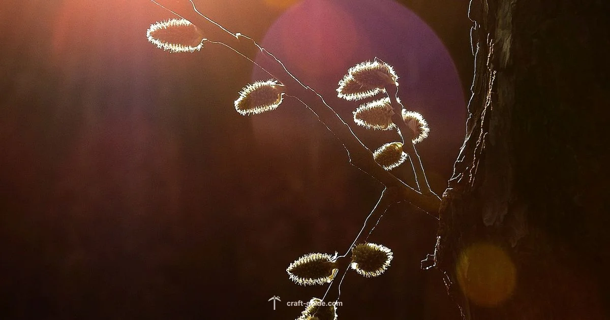 Brewing Essentials - Craft Guide