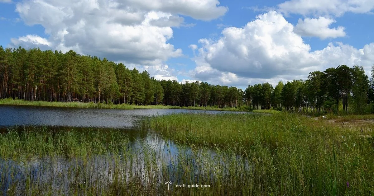 Wolves Spawn Guide - Craft Guide