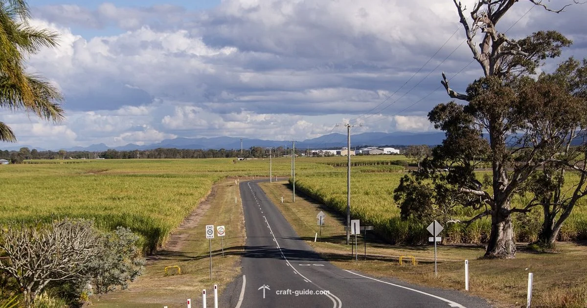 Sugar Cane Farm - Craft Guide