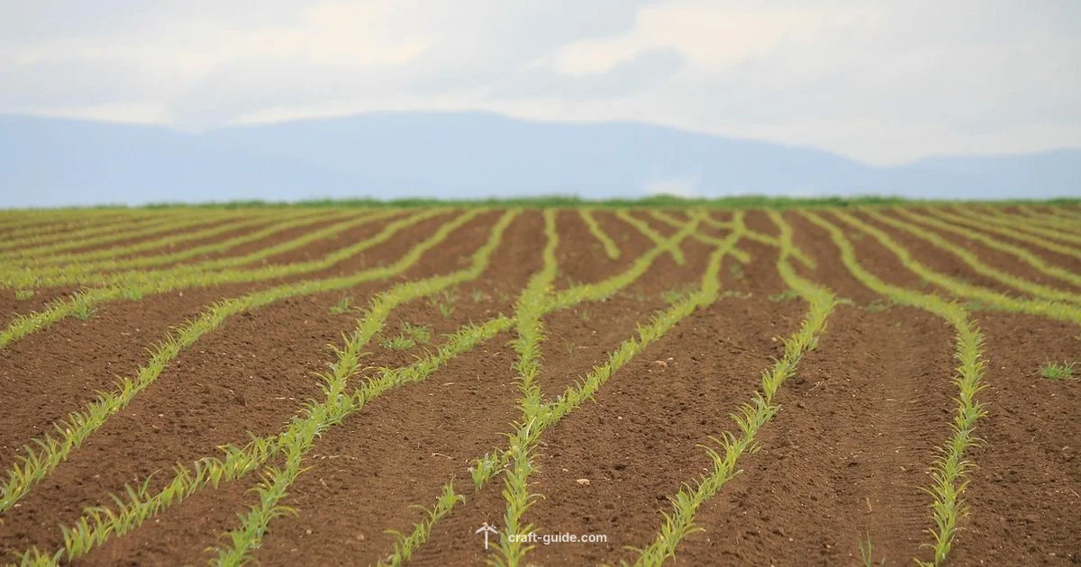 Find Your Seed Fast - Craft Guide