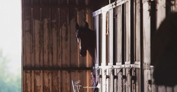 Horse Color Guide - Craft Guide