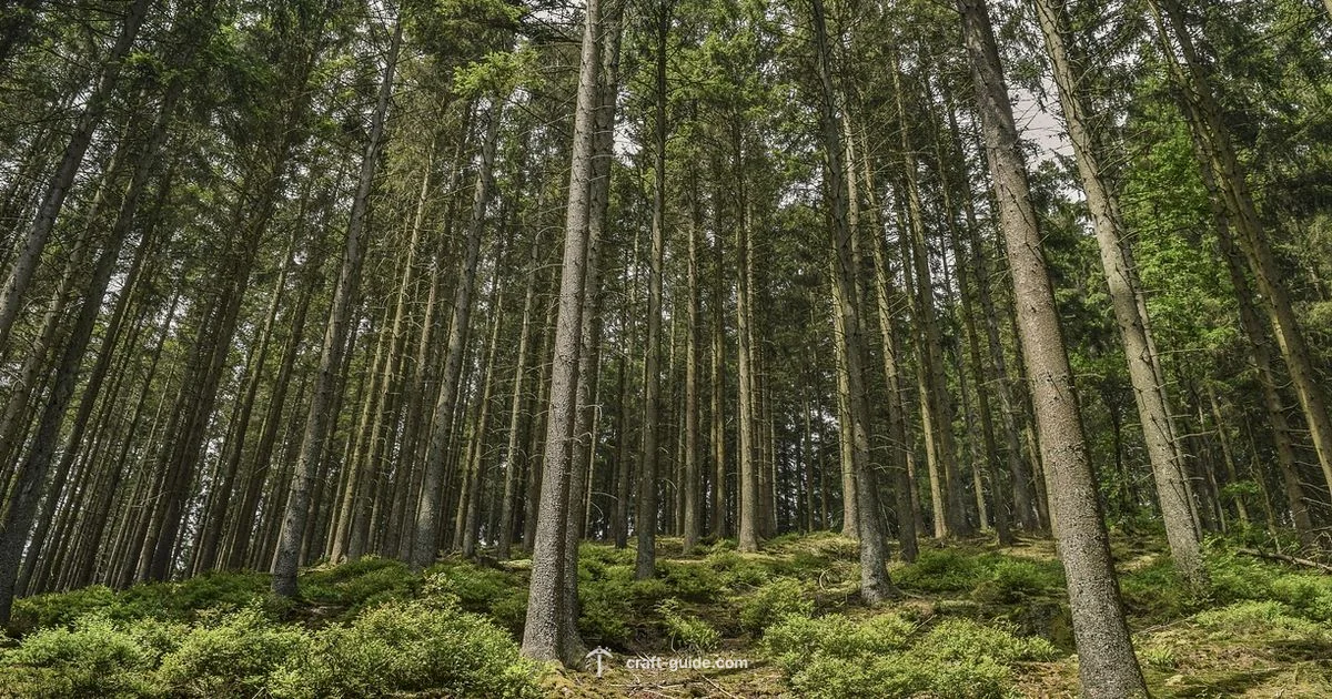 Dark Forest Biome - Craft Guide