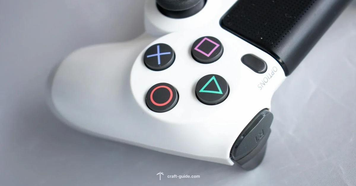 PS5 Lag Guide - Craft Guide