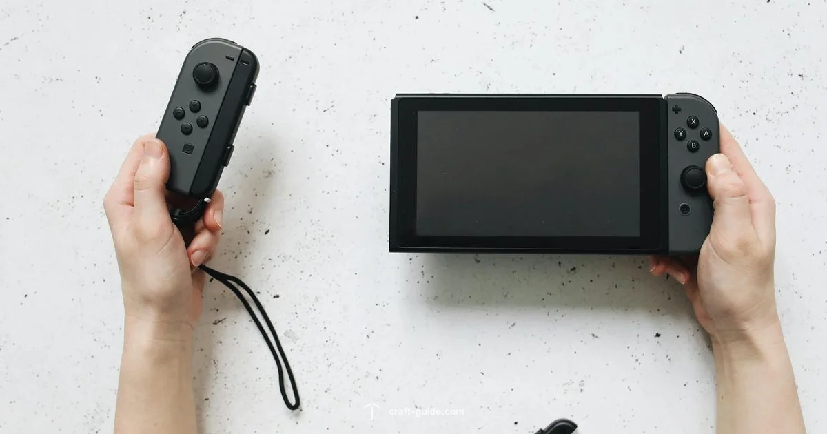 Switch Edition Build - Craft Guide