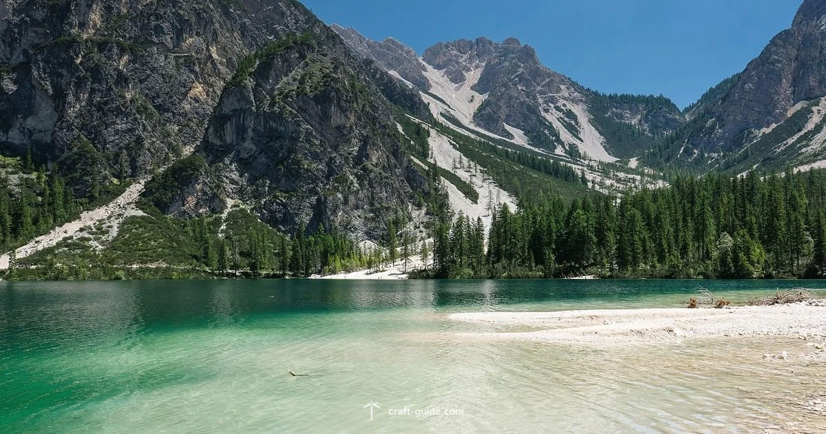 Seed Guide - Craft Guide