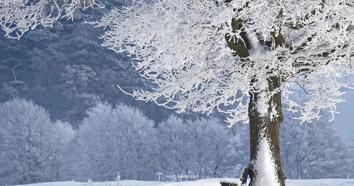 Snow in Minecraft - Craft Guide