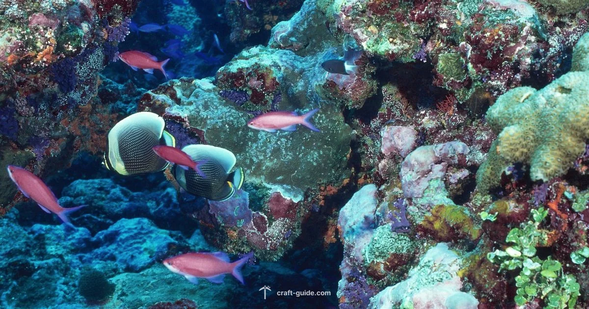 Underwater Temple Guide - Craft Guide