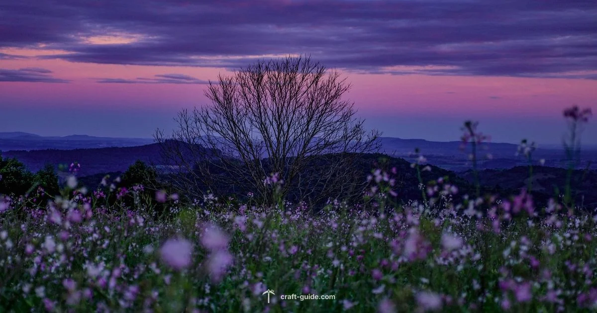 Realistic Minecraft Guide