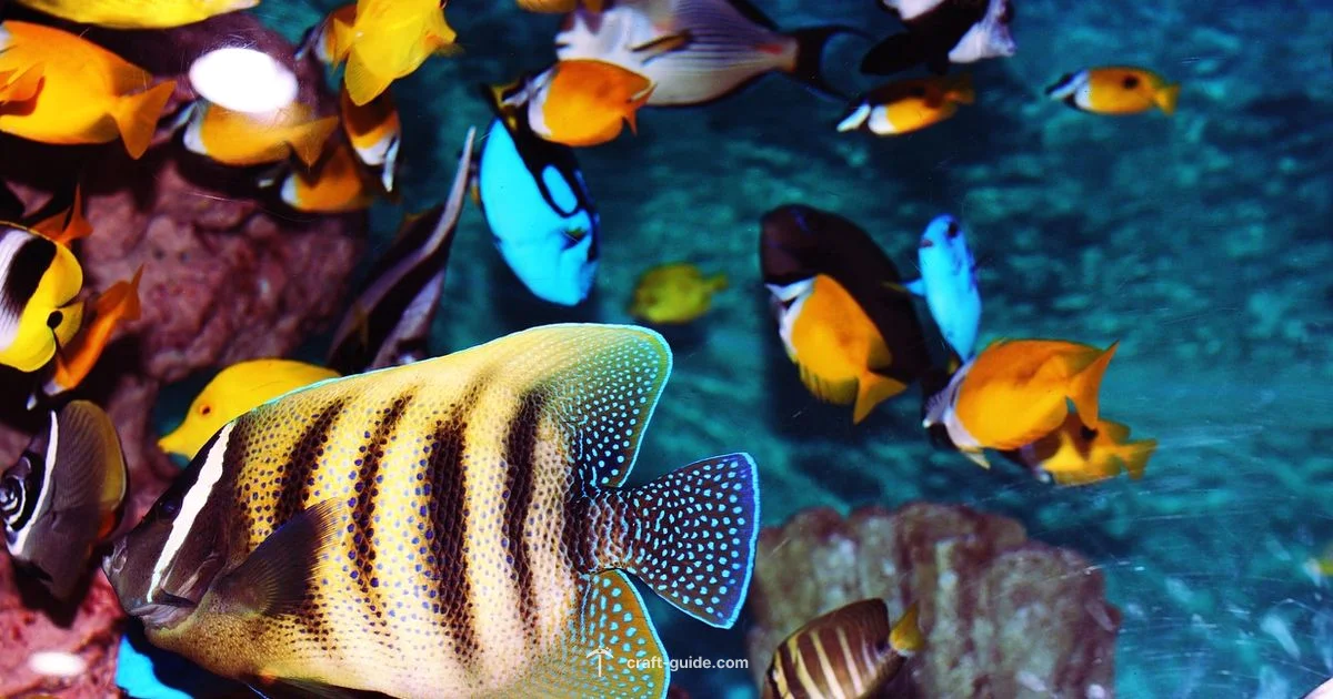 Tropical Fish Tank - Craft Guide