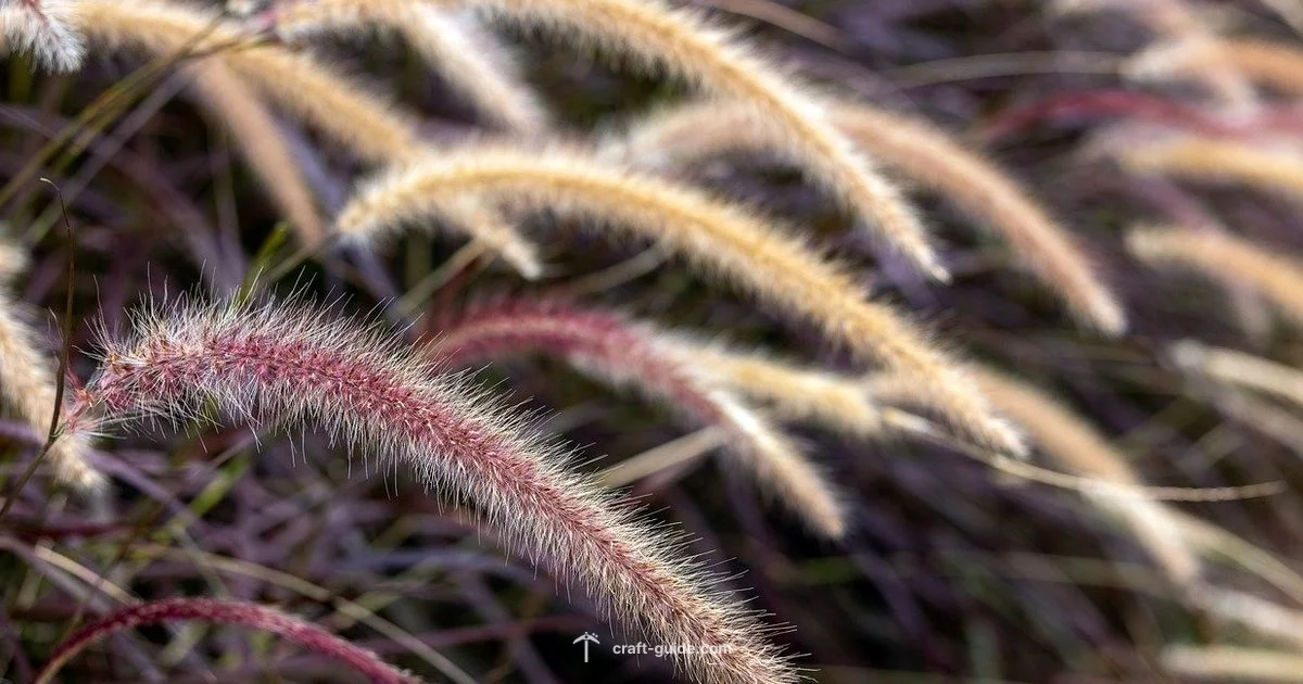 Grass Block Builds - Craft Guide