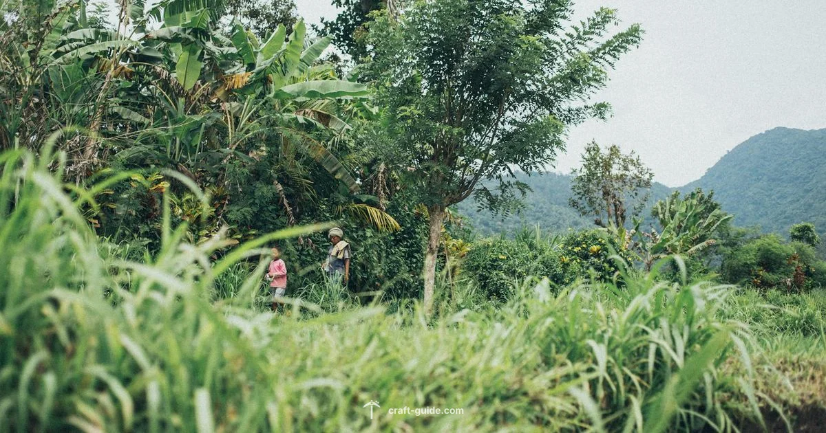 Seed Search Guide - Craft Guide