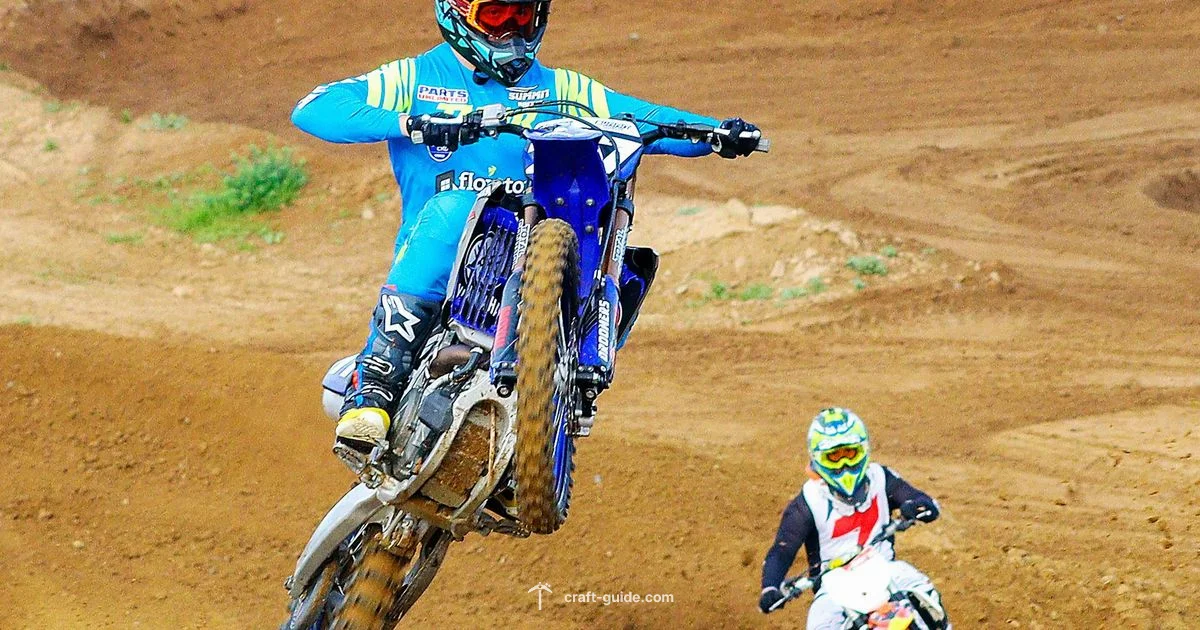 Cape Availability 2026 - Craft Guide