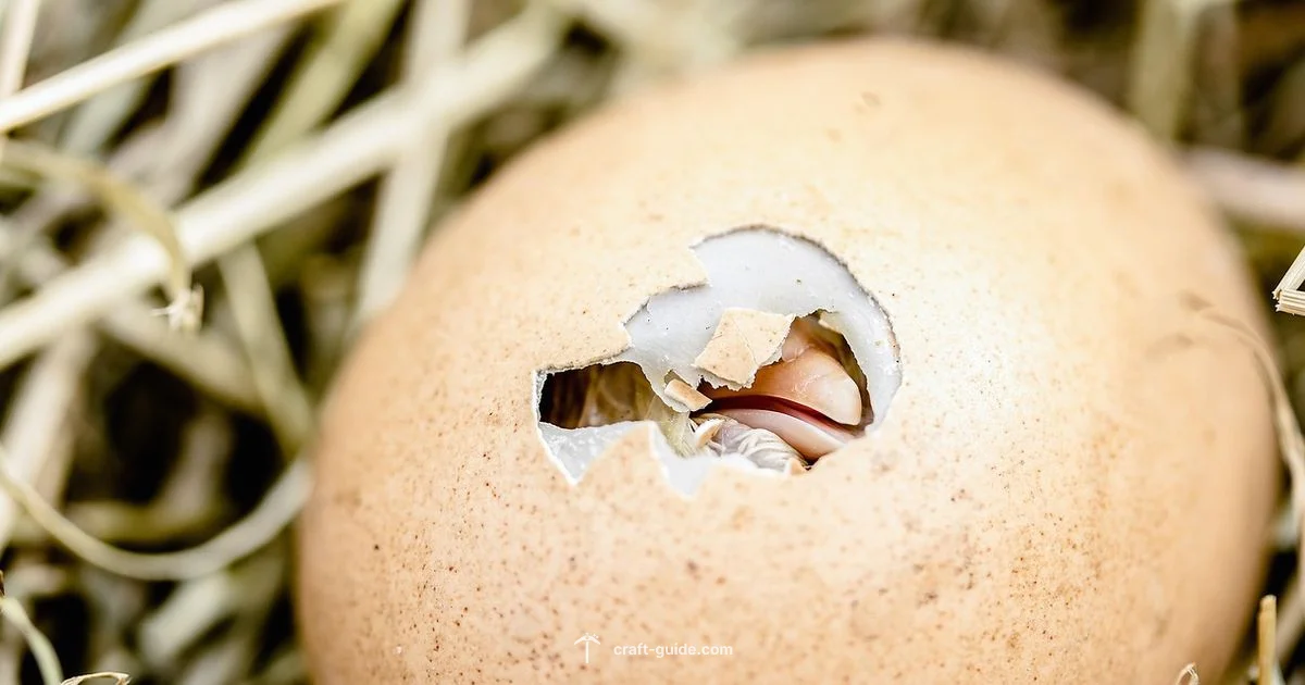 Eggs in Minecraft - Craft Guide