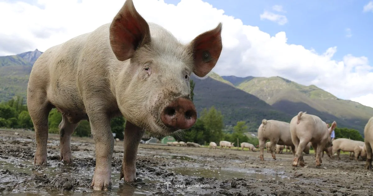 Minecraft Pigs Guide - Craft Guide