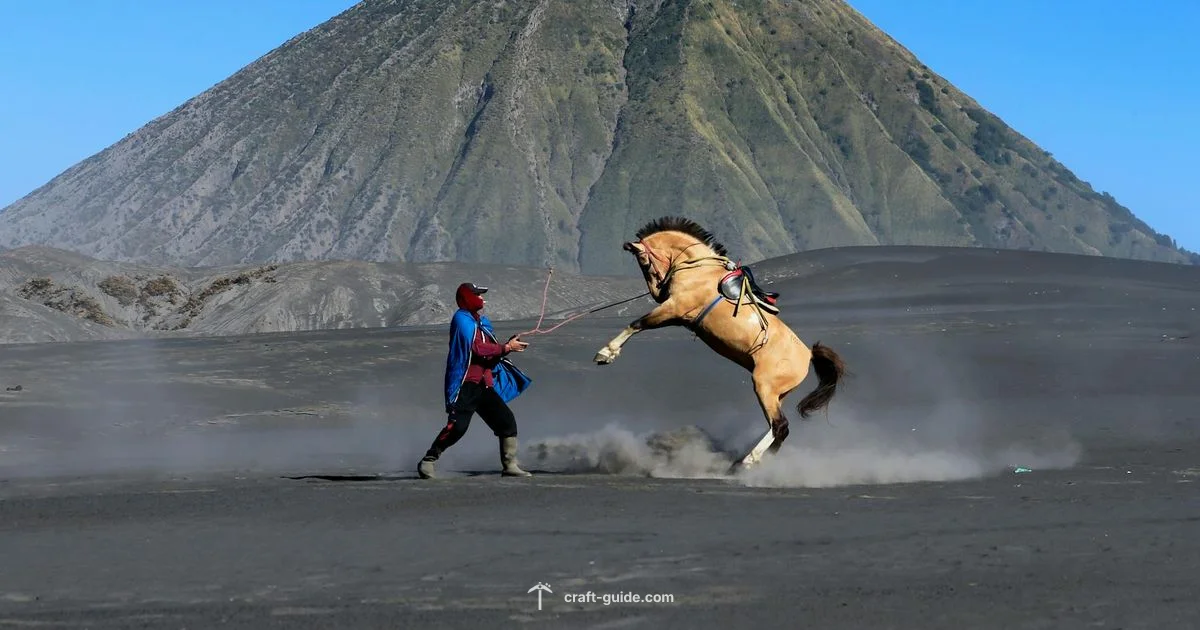 Taming a Horse - Craft Guide