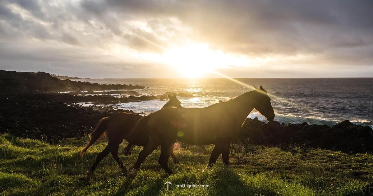 Horse Diet Essentials - Craft Guide