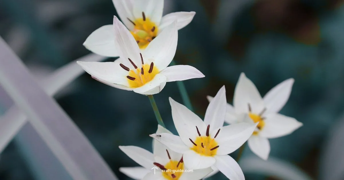 White Tulip Dye White Tulip Dye - Craft Guide