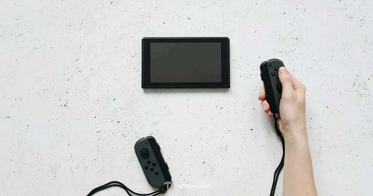 Switch Playability - Craft Guide