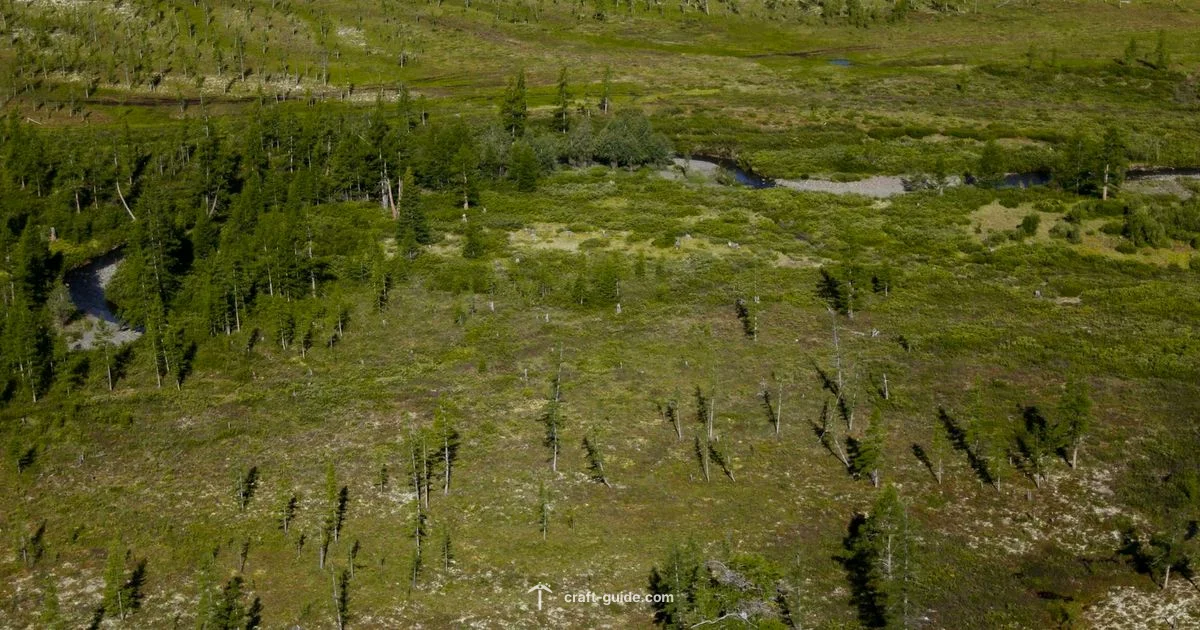 World Basics World Basics - Craft Guide