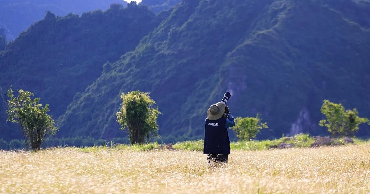 Where Screenshots Shine - Craft Guide