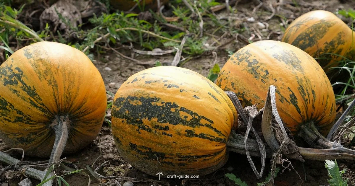 Pumpkin Pie Craft - Craft Guide