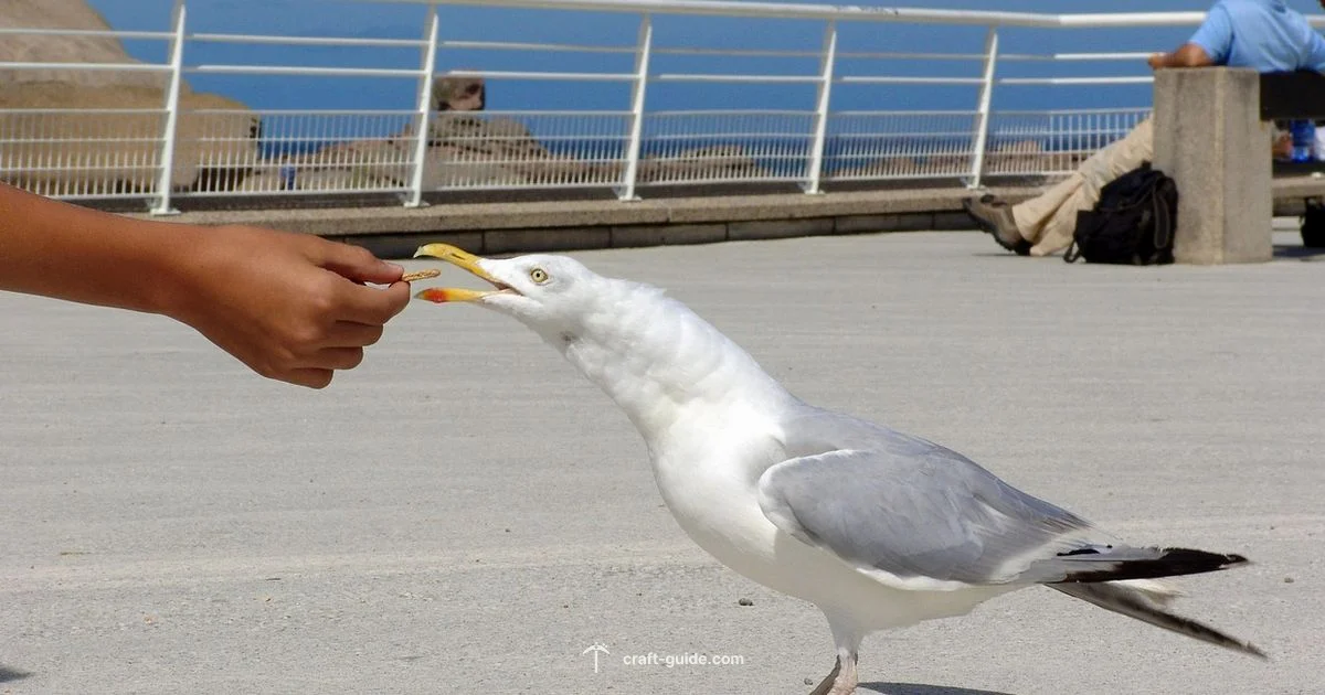 Hunger Games Server Guide - Craft Guide