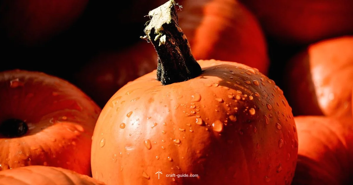 Pumpkins and Water - Craft Guide