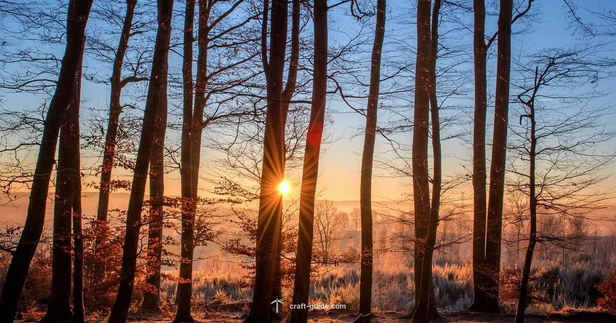 Types of Minecraft Trees - Craft Guide