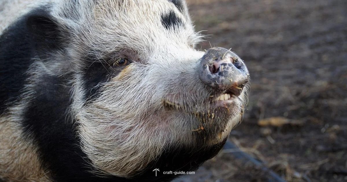 Animal Breeding - Craft Guide