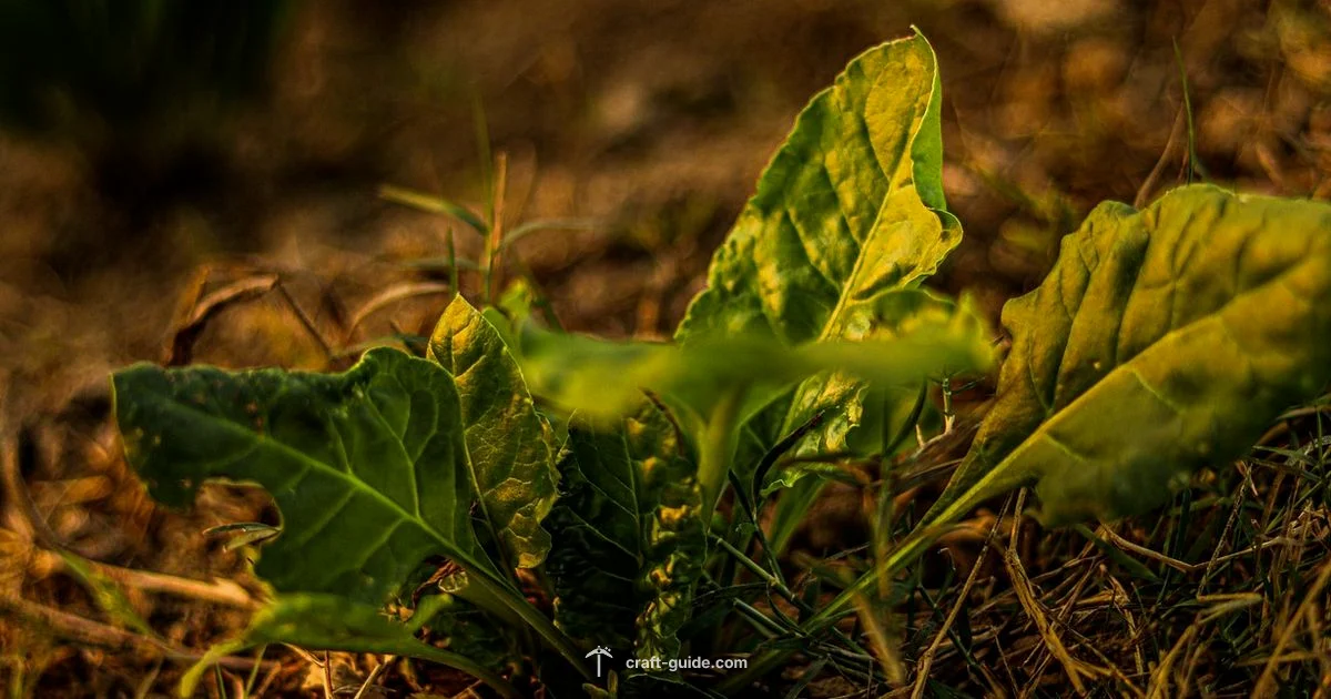 Village Breeding Guide - Craft Guide