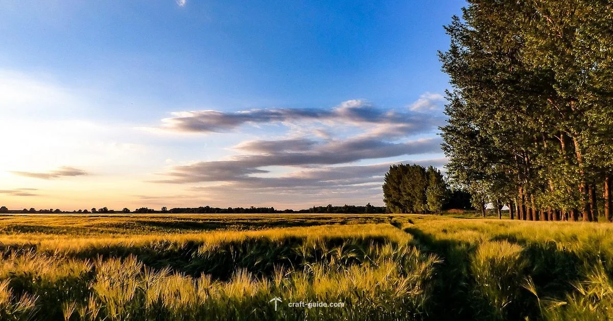 Flowers in Minecraft - Craft Guide