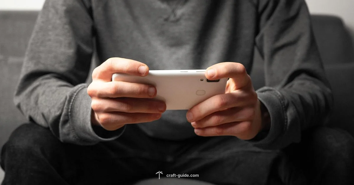 Offline Play Guide - Craft Guide