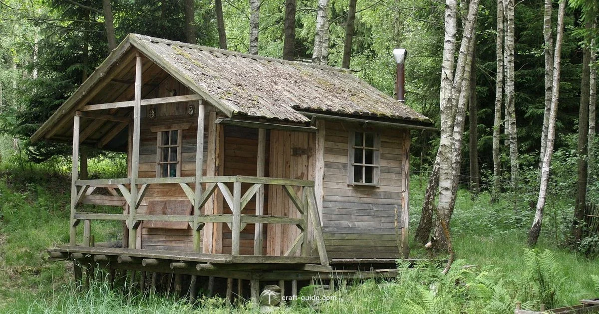 Cozy Starter House - Craft Guide