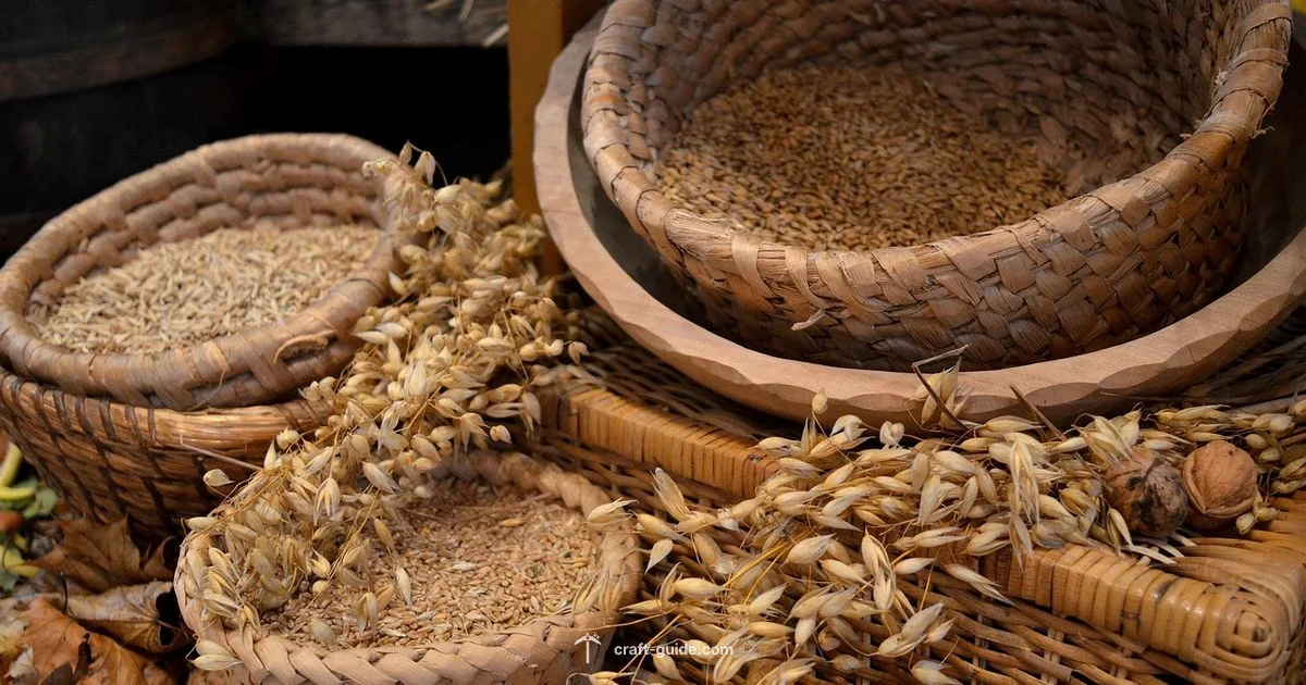 Ultimate Shader Guide - Craft Guide