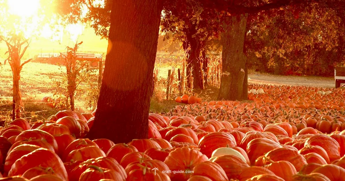 Pumpkin Farm Setup - Craft Guide