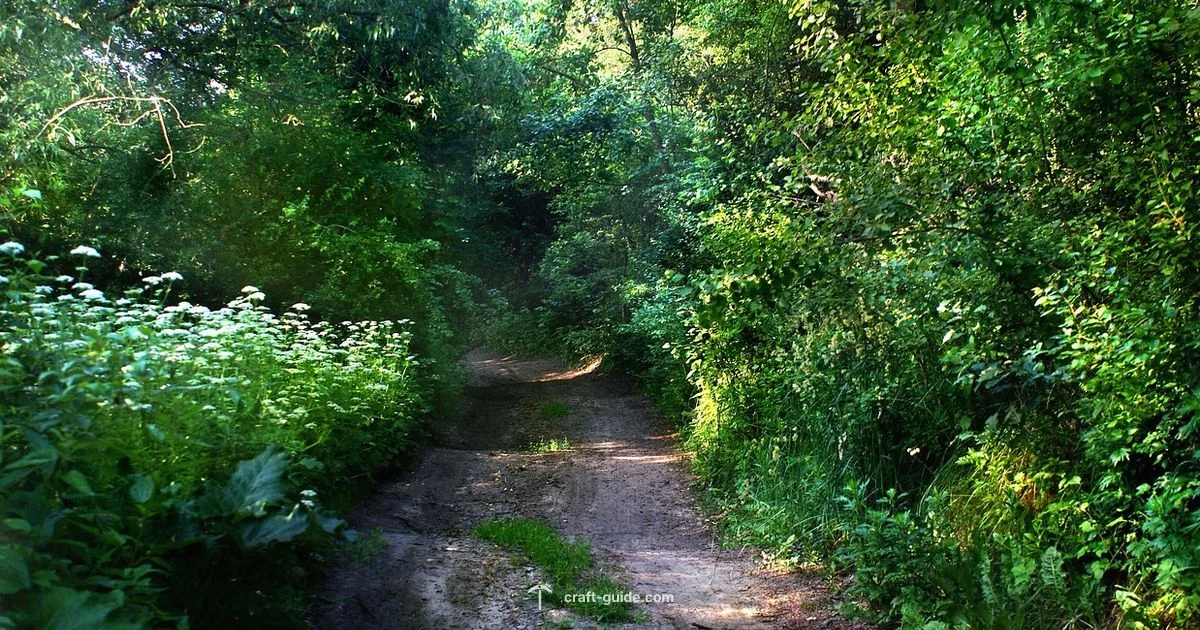 Account Cost Guide - Craft Guide