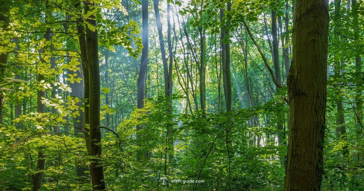 Apple Drops - Craft Guide