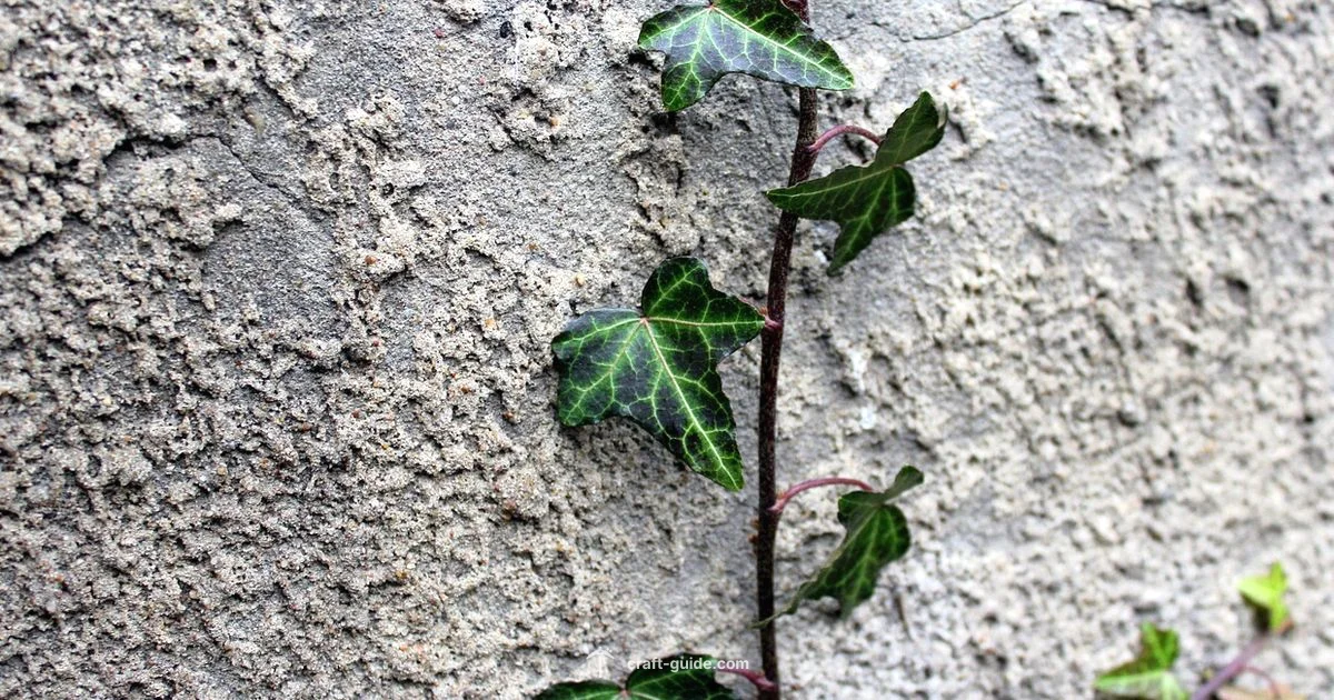 Creeper Face Build - Craft Guide