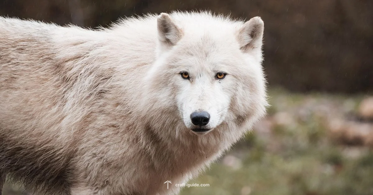 Dog in Minecraft - Craft Guide