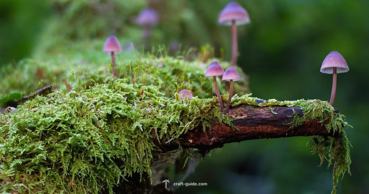 Mobs Mastery - Craft Guide