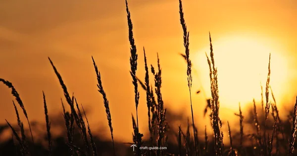 Forever World Guide - Craft Guide