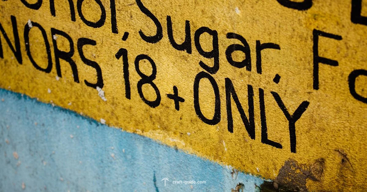 Minecraft Age Guide - Craft Guide