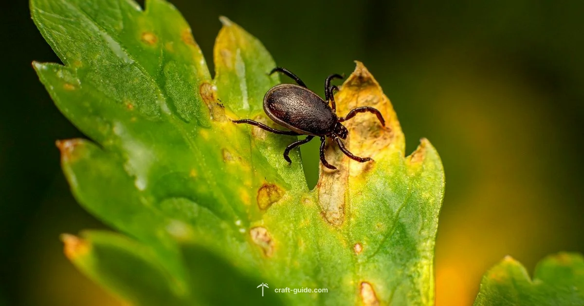 Tick Rate 20 TPS - Craft Guide