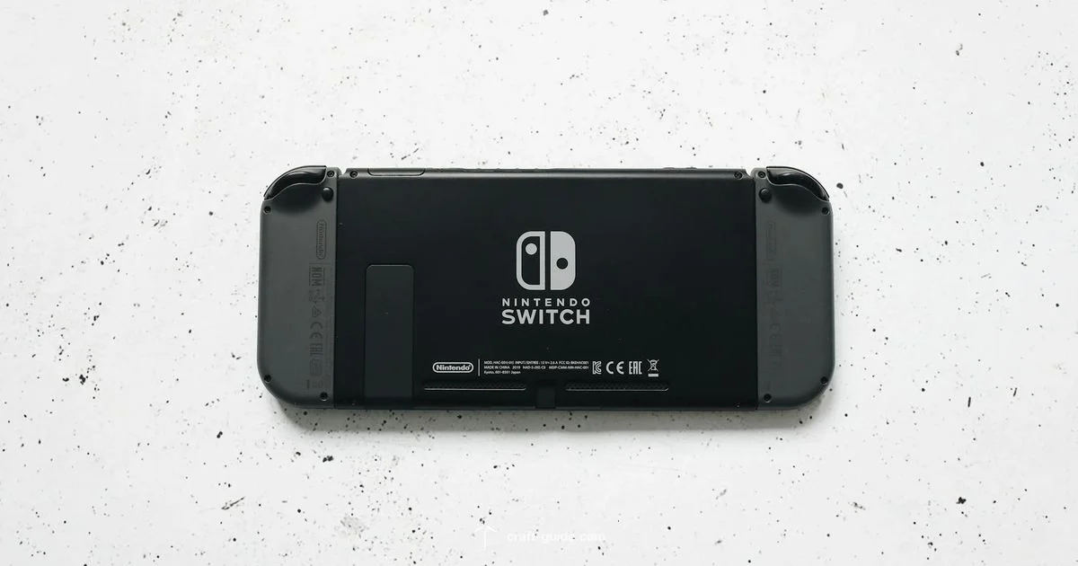 Switch Mods Guide - Craft Guide