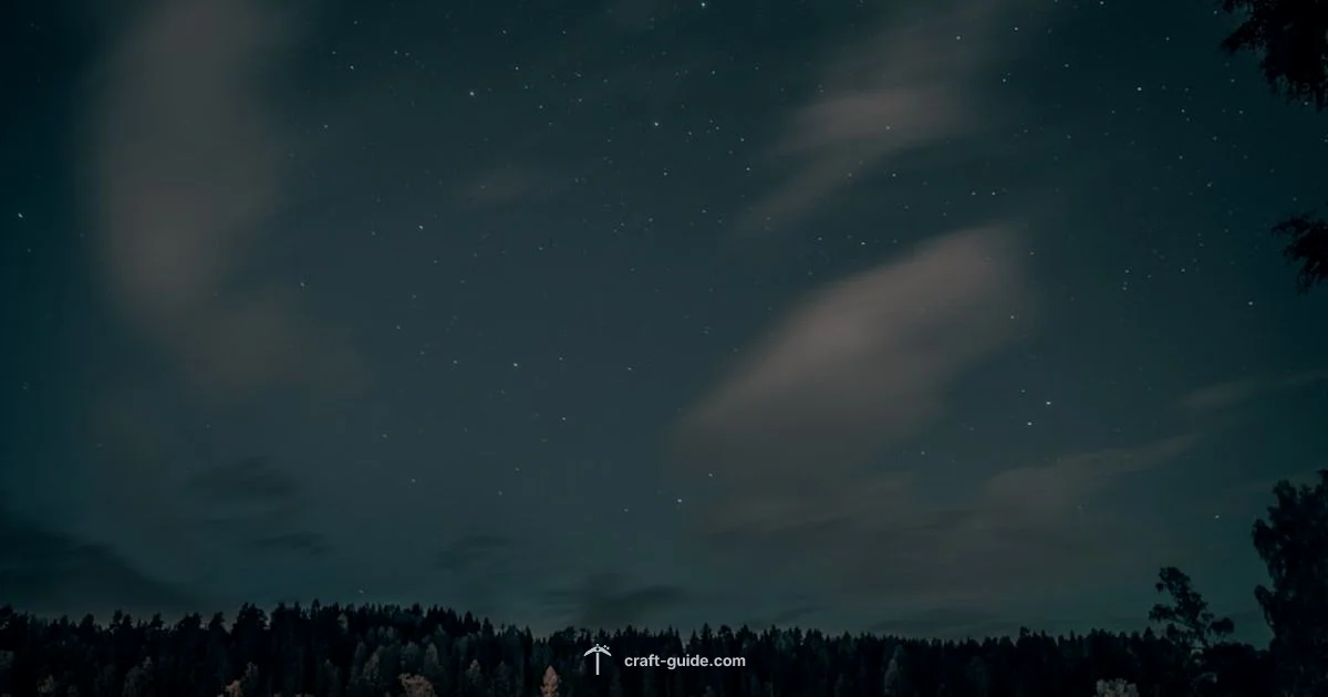 Night Cycle - Craft Guide