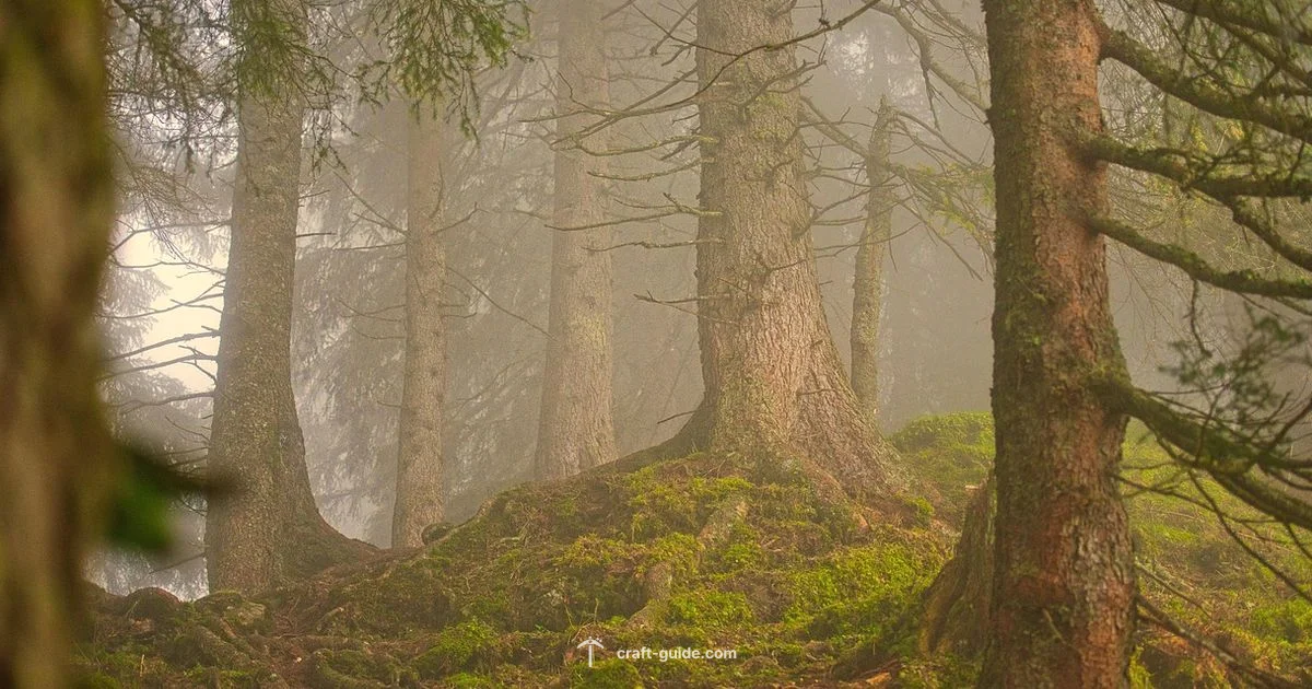 Tree Types in Minecraft - Craft Guide